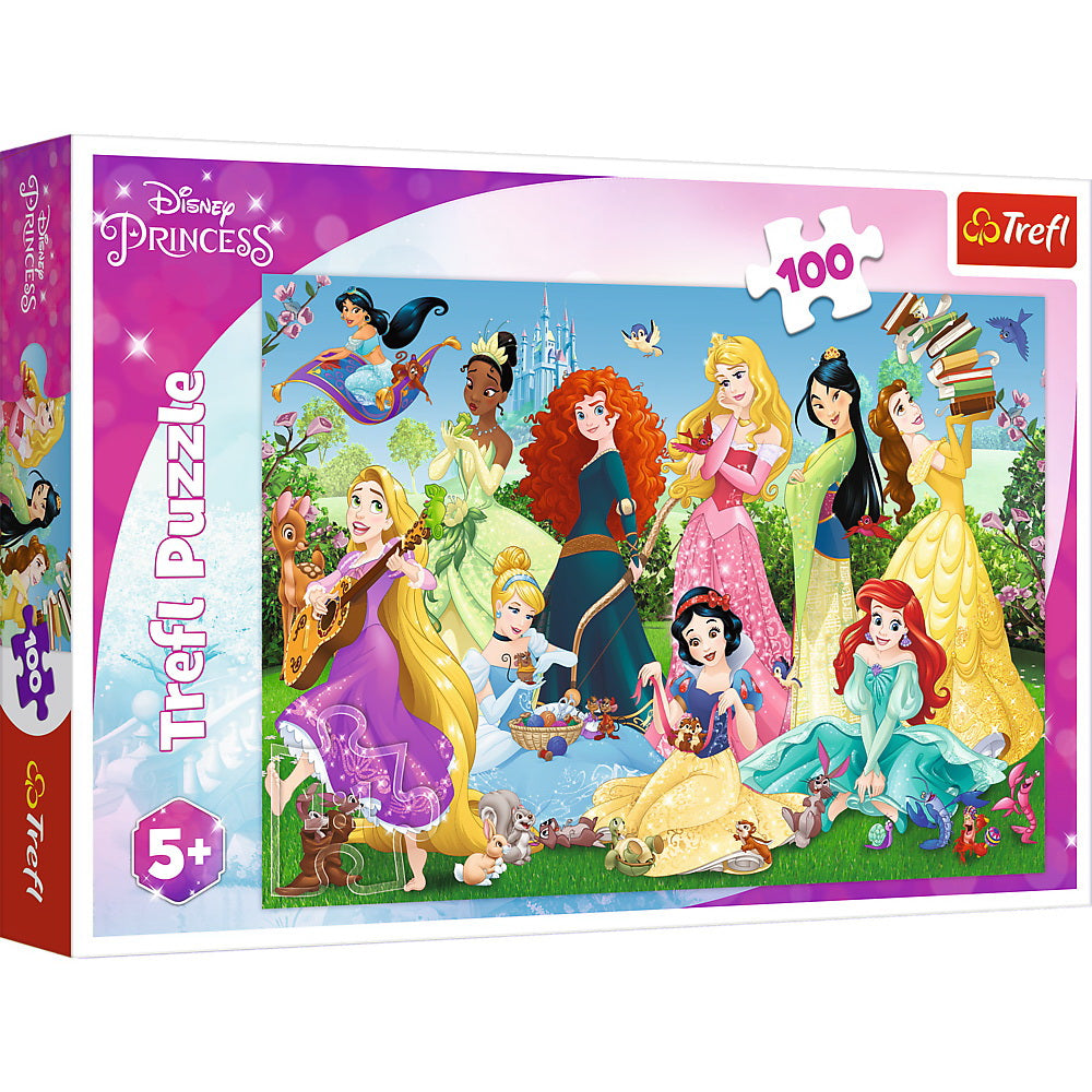 Puzzle 100 printesele sarmante