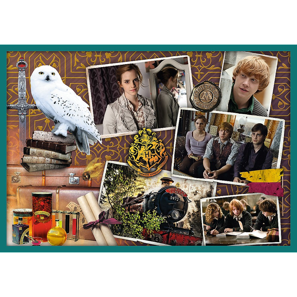 Puzzle trefl 10in1 harry potter in lumea lui harry potter