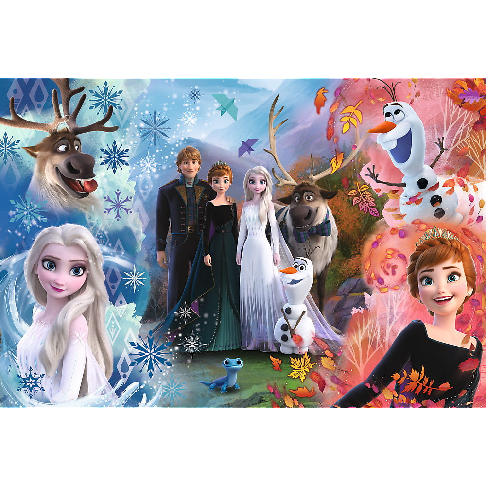 Puzzle trefl 160 frozen2 vis devenit realitate