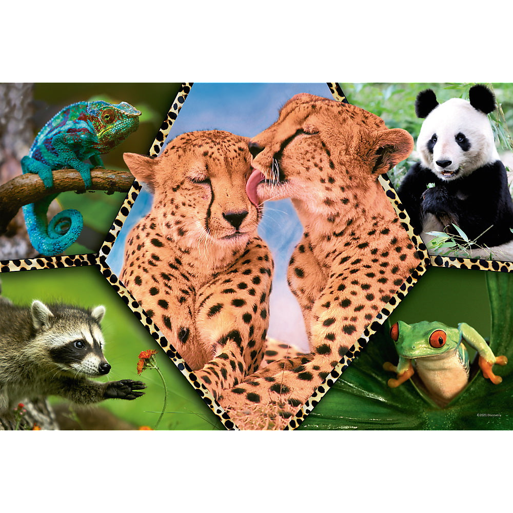 Puzzle trefl 100 natura frumoasa